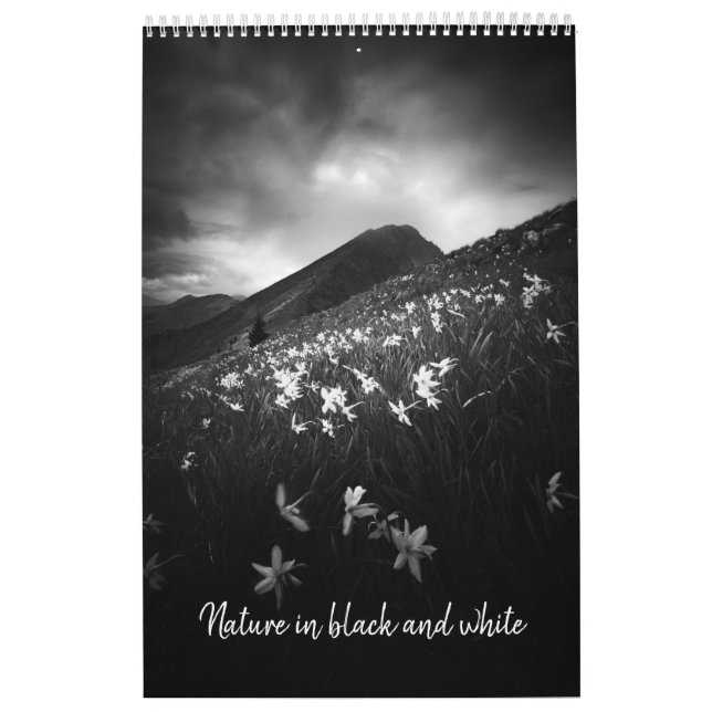 Typ i svartvit v1-fotokalender kalender (Omslag)