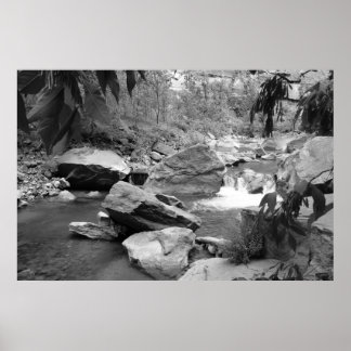 Typ i svartvitt poster