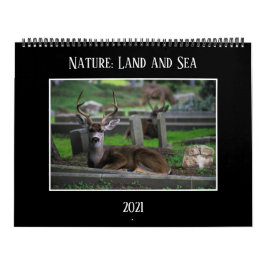 Typ: Land- och havskalender 2021 Kalender