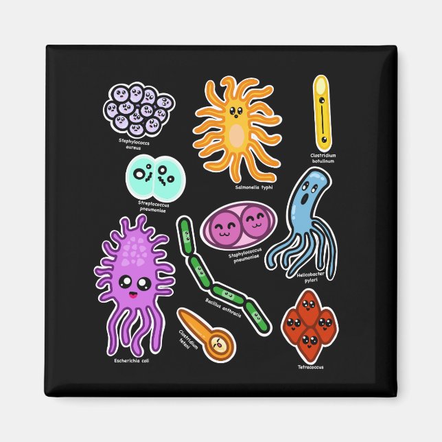 Typer av bakterier magnet (Framsidan)