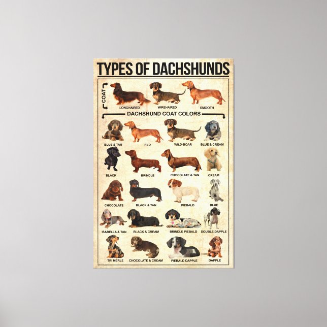 Typer av Dachshunds-Hund Poster, Dachshunds-kända Canvastryck (Framsida)