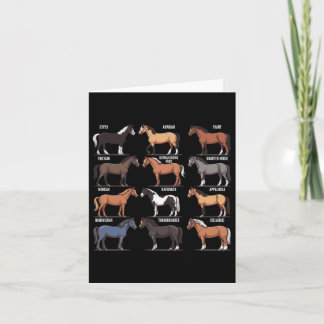 Typer av hästar från hästar från rasen Equestrian  Kort