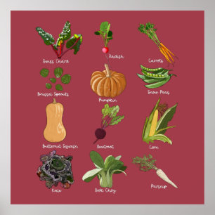 Typer av höstgies Fall Vegetable Harvest Poster