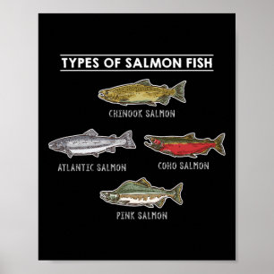 Typer av laxfisk för laxfiske poster