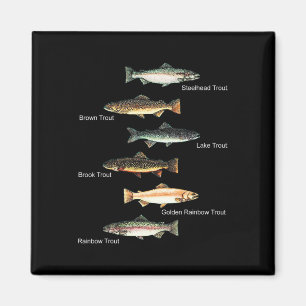 Typer av öring fiskarter samling fiske magnet