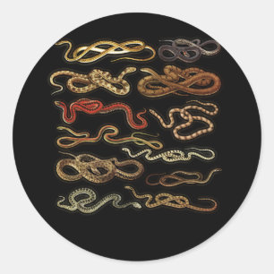 Typer av ormar Herpetologist pedagogik Runt Klistermärke
