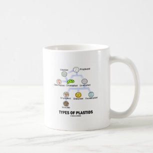 Typer av Plastids Kaffemugg