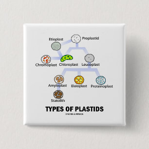 Typer av Plastids Knapp
