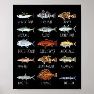Typer av saltvatten fiskarter biologi fiske Lo Poster