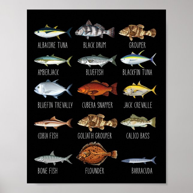 Typer av saltvatten fiskarter biologi fiske Lo Poster (Framsidan)