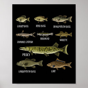 Typer av sötvattenfisk sorter arter fiske poster