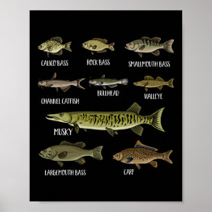 Typer av sötvattenfisk sorter arter fiske poster