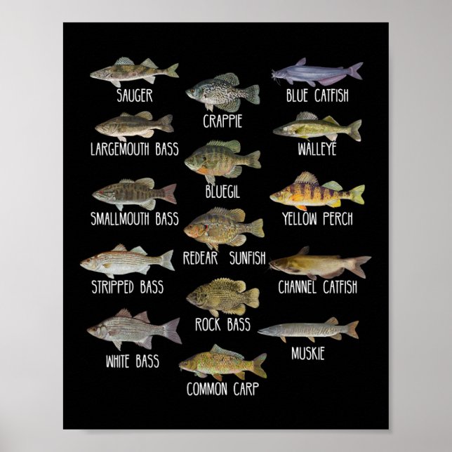 Typer av sötvattenfiskarter Biologi Fiske  Poster (Framsidan)