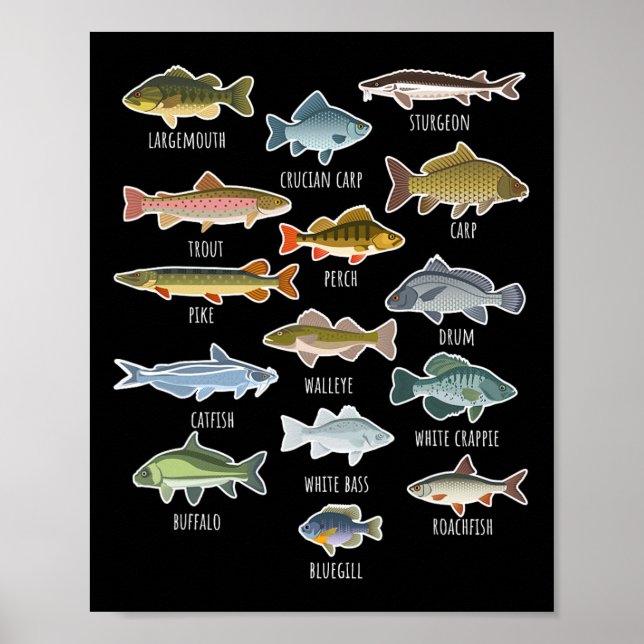 Typer av sötvattenfiskarter fiske  poster (Framsidan)