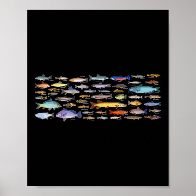 Typer av sötvattensfiskarter Biologi Fiske  Poster (Framsidan)