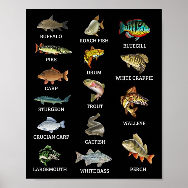 Typer av sötvattensfiskarter fiske fiskare poster (Framsidan)