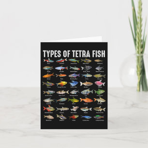 Typer av Tetra Fish - Tetras Aquarium Fish Species Kort