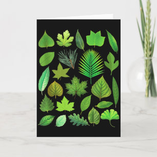 Typer Av Trädblad Biologi Natur Utbildande Ta Kort