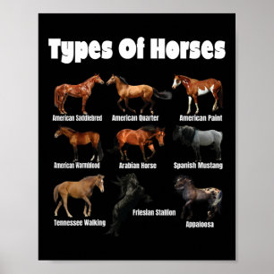 Typer av Vintage för hästar av rasras Poster