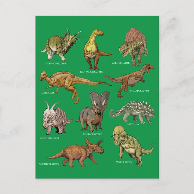 Types of Dinosaurs Illustrations Vykort (Framsida)
