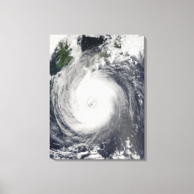 Typhoon Chaba Canvastryck (Framsida)