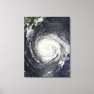 Typhoon Fitow Canvastryck