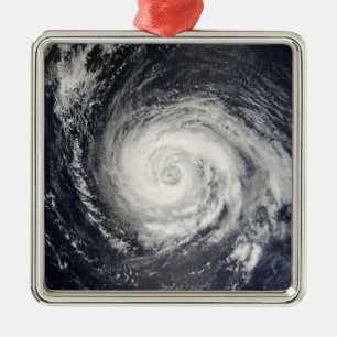 Typhoon Fitow Julgransprydnad Metall