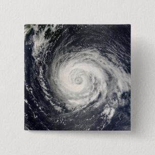 Typhoon Fitow Knapp