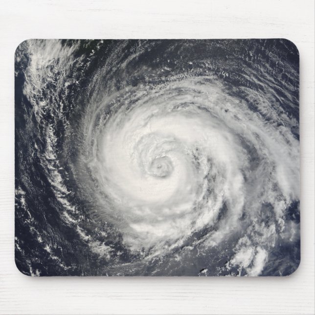 Typhoon Fitow Musmatta (Framsidan)