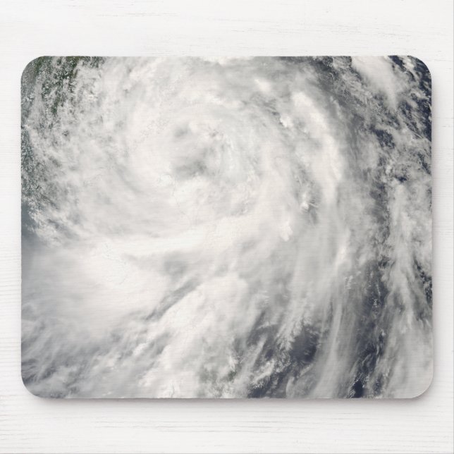 Typhoon Fung-wong Musmatta (Framsidan)