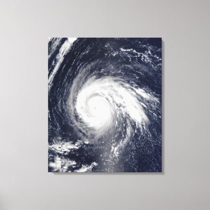 Typhoon Higos Canvastryck