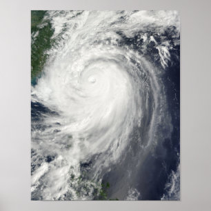 Typhoon Jangmi Poster