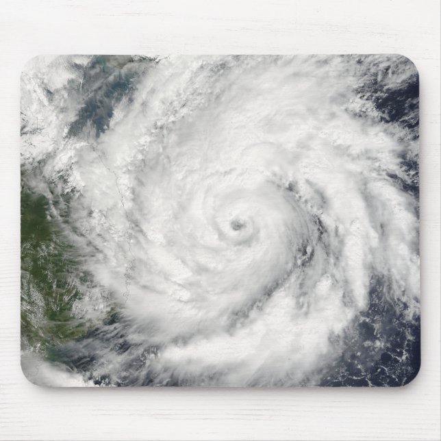Typhoon Kai-Tak Musmatta (Framsidan)