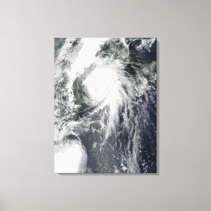 Typhoon Kompasu Canvastryck