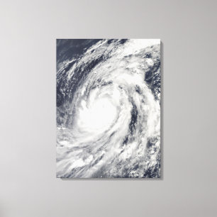 Typhoon Lupit Canvastryck