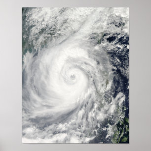 Typhoon Megi 4 Poster