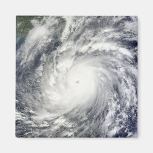 Typhoon Megi Magnet