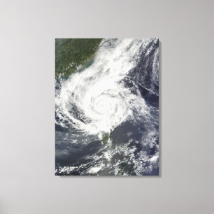 Typhoon Parma Canvastryck