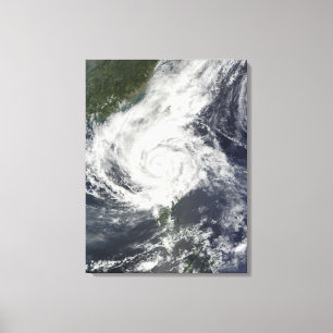 Typhoon Parma Canvastryck
