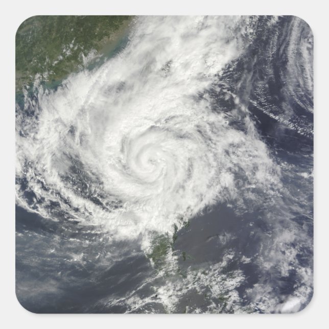 Typhoon Parma Fyrkantigt Klistermärke (Framsida)