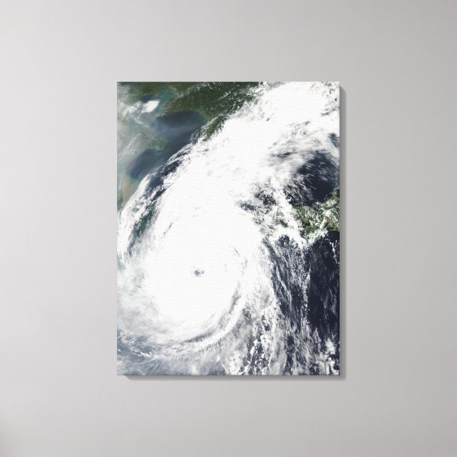Typhoon Rusa 2 Canvastryck (Framsida)