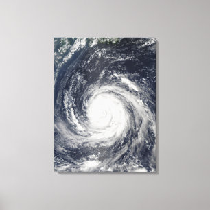 Typhoon Rusa Canvastryck