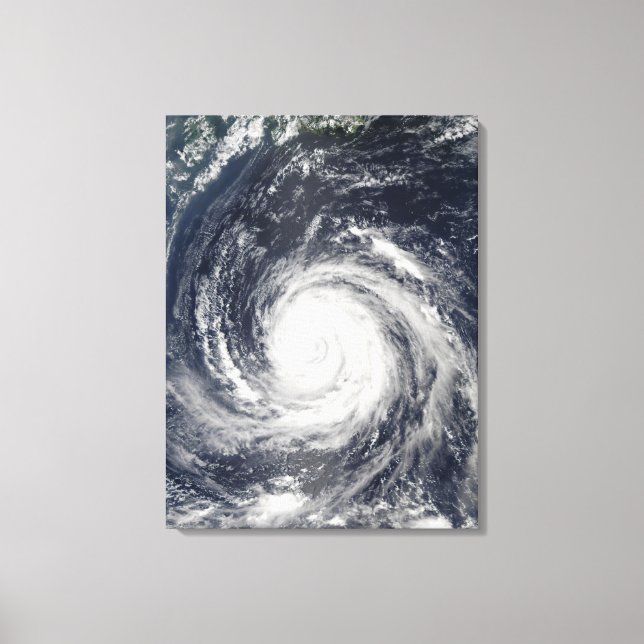 Typhoon Rusa Canvastryck (Framsida)