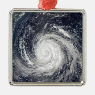 Typhoon Rusa Julgransprydnad Metall