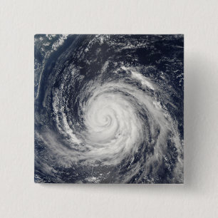 Typhoon Rusa Knapp