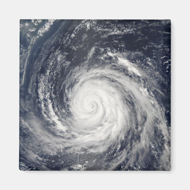 Typhoon Rusa Magnet (Framsidan)