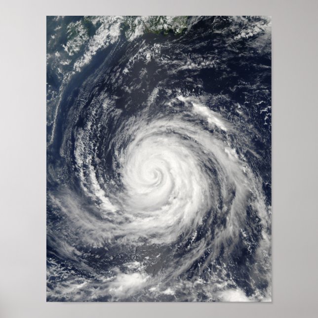 Typhoon Rusa Poster (Framsidan)