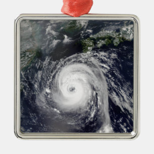 Typhoon Sinlaku 2 Julgransprydnad Metall