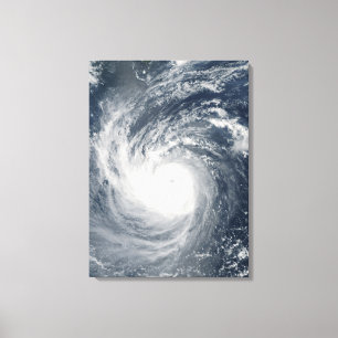 Typhoon Taim Canvastryck