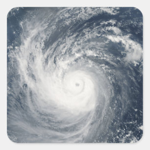 Typhoon Taim Fyrkantigt Klistermärke
